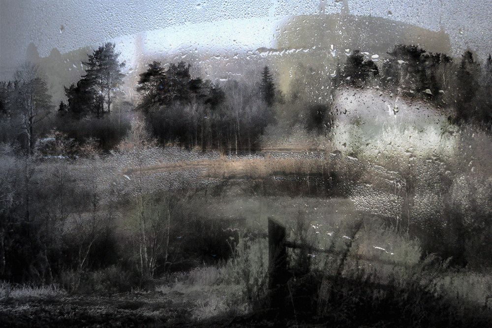 Photo 29953873
