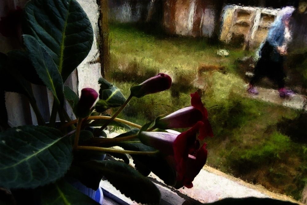 Photo 29953875