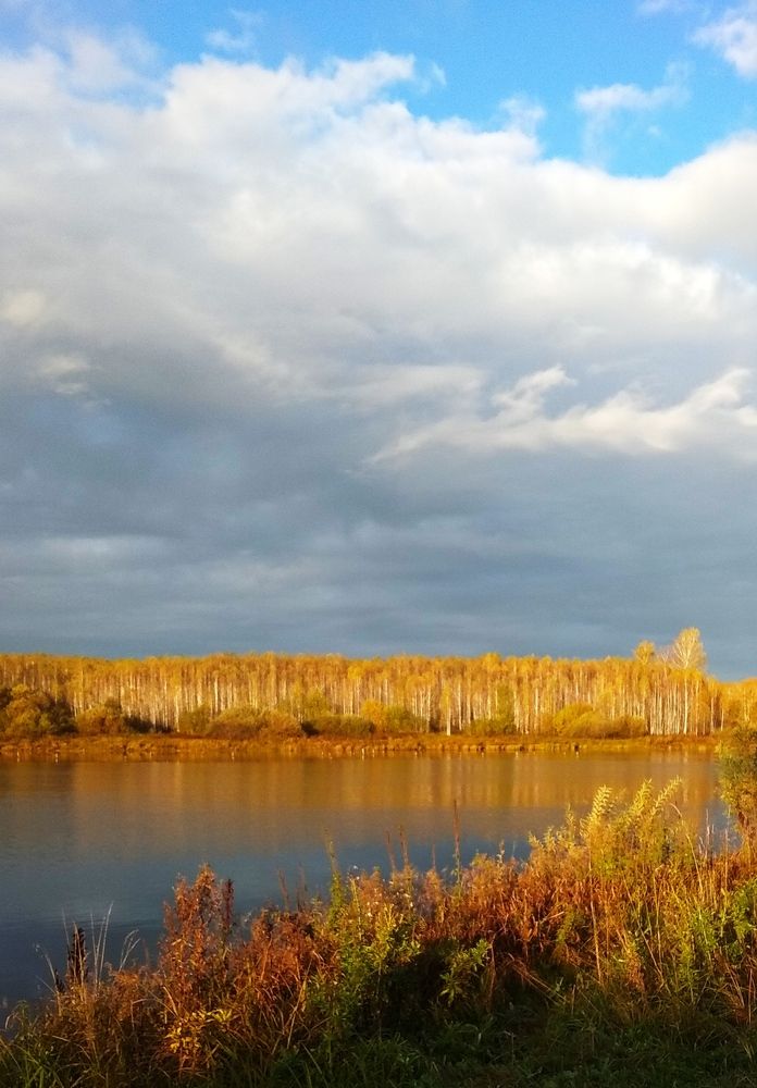 autumn