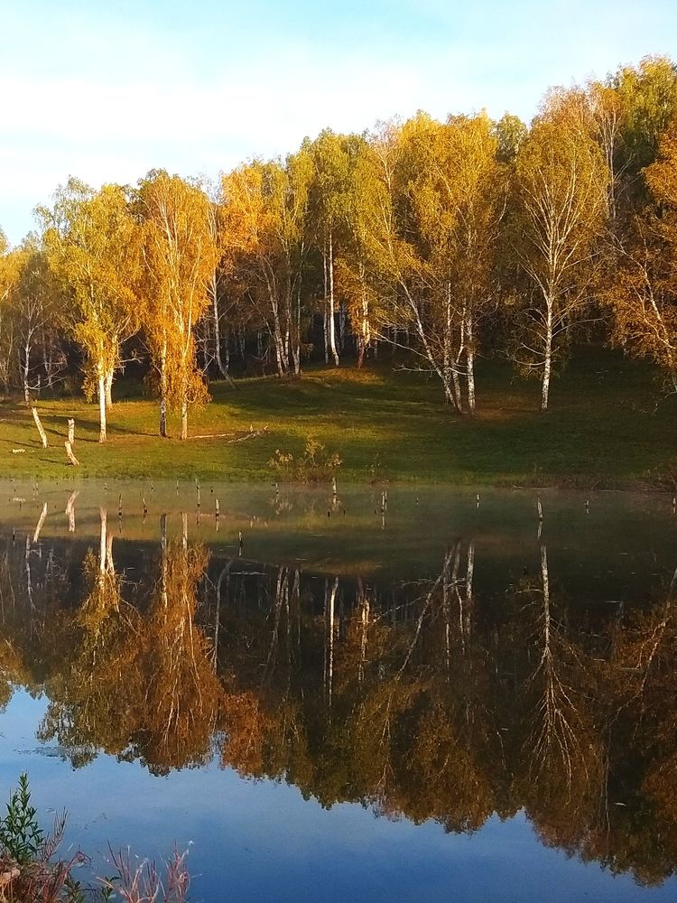 autumn