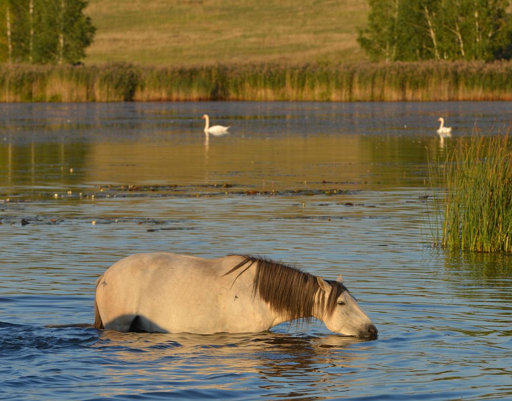 Photo 29954101