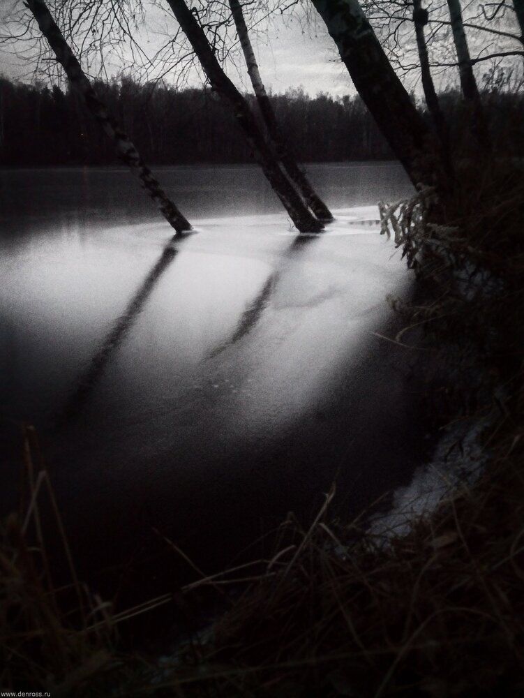 Photo 29954235
