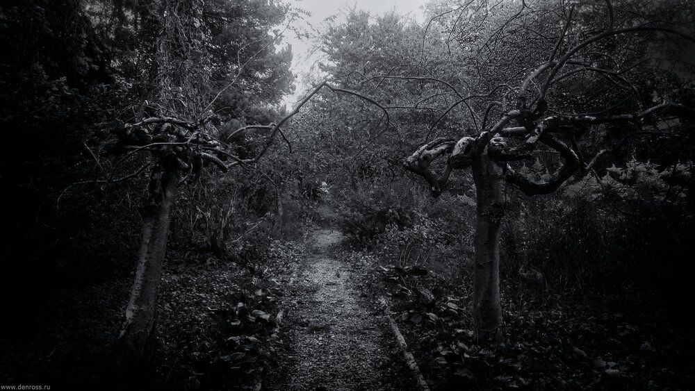 Photo 29954237