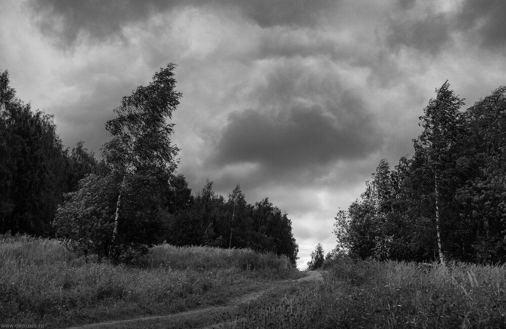 Photo 29954242
