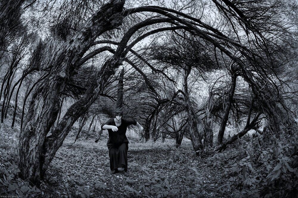 Photo 29954243