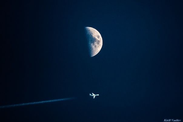 Photo 29954445