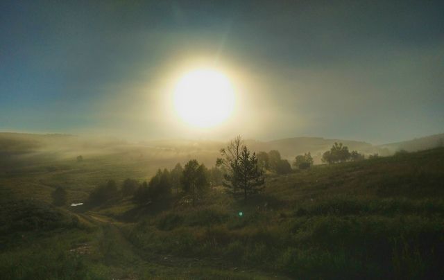 Photo 29954446