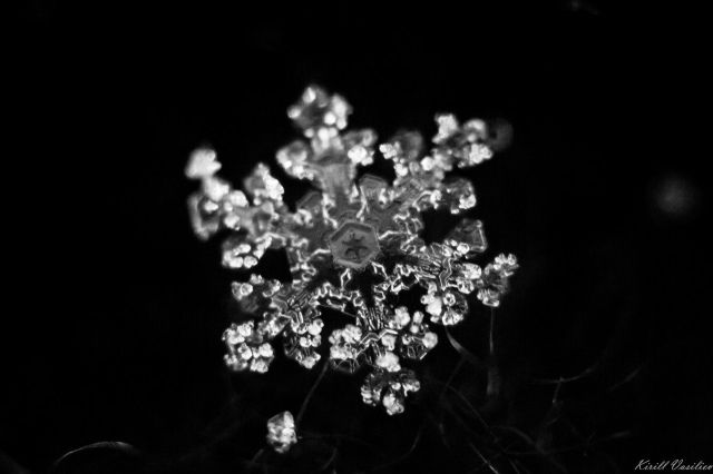 Photo 29954447