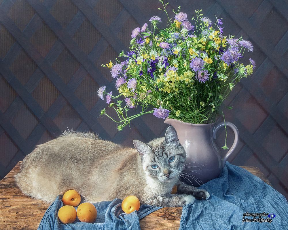Мальчик с абрикосами