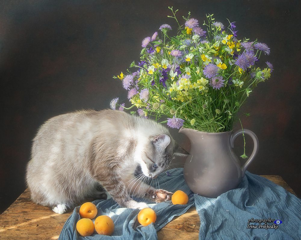Мальчик с абрикосами