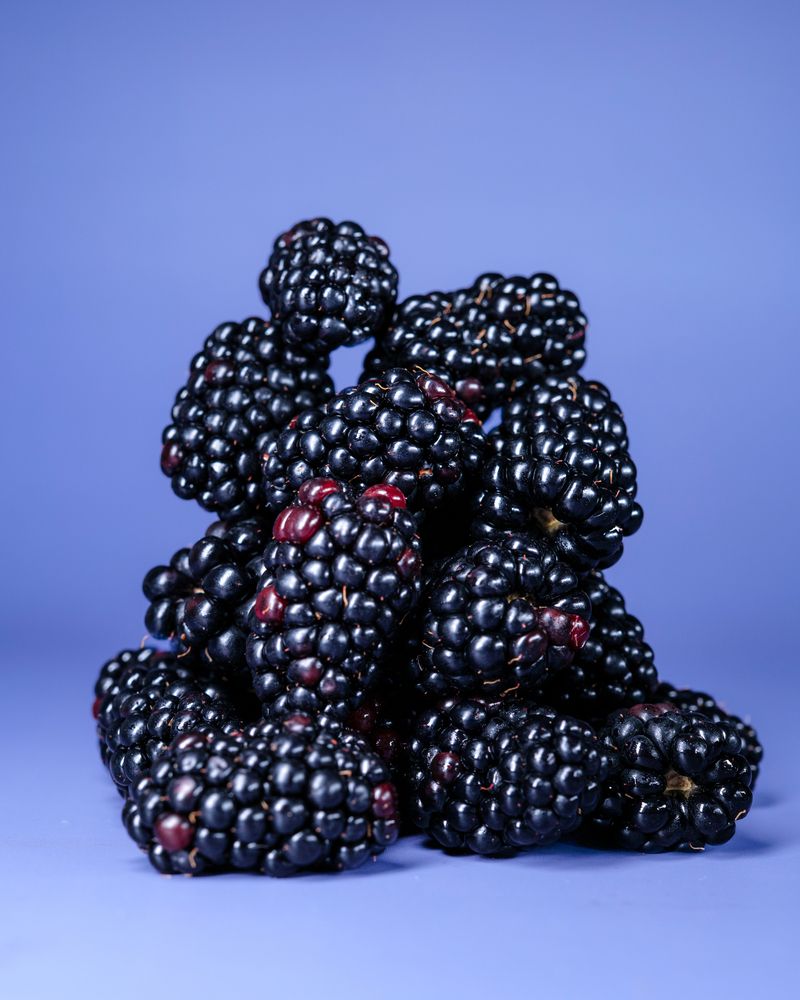 Plum