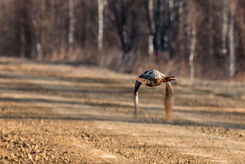 На дороге (4 фото)