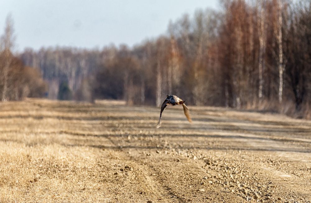 На дороге (4 фото)