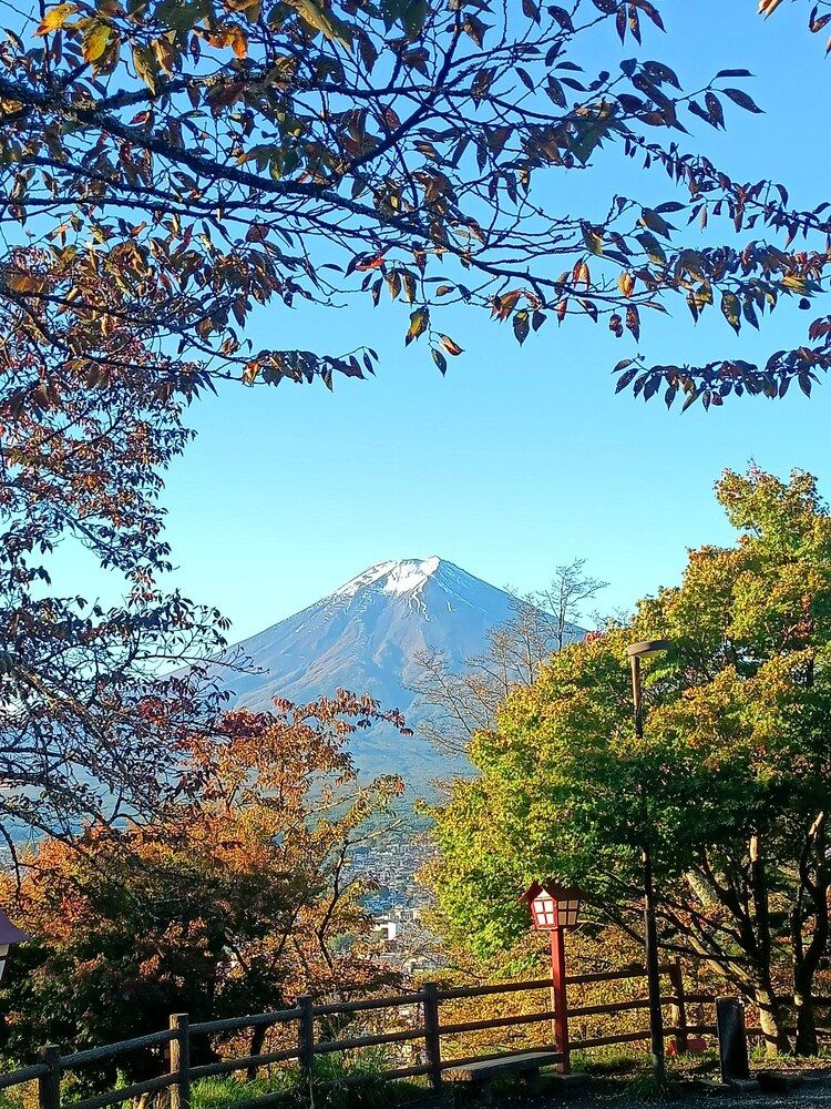 Photo 29955390