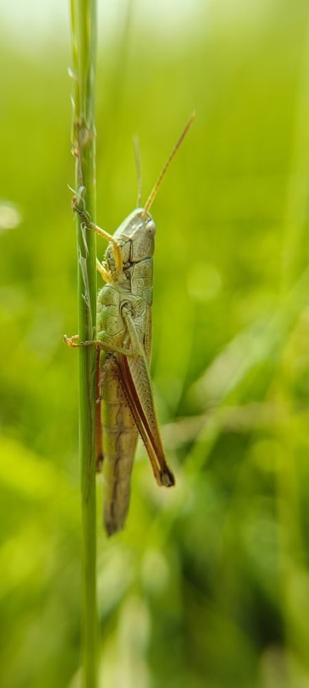 Photo 29956213
