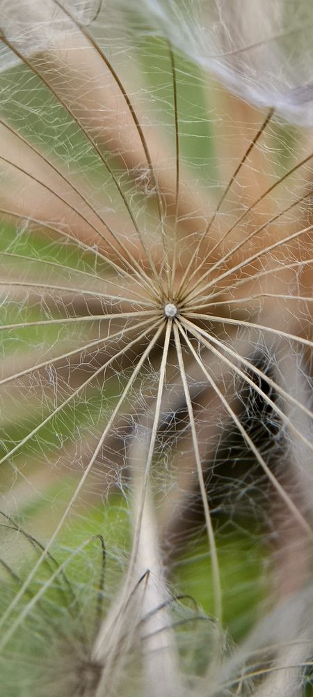 Photo 29956214