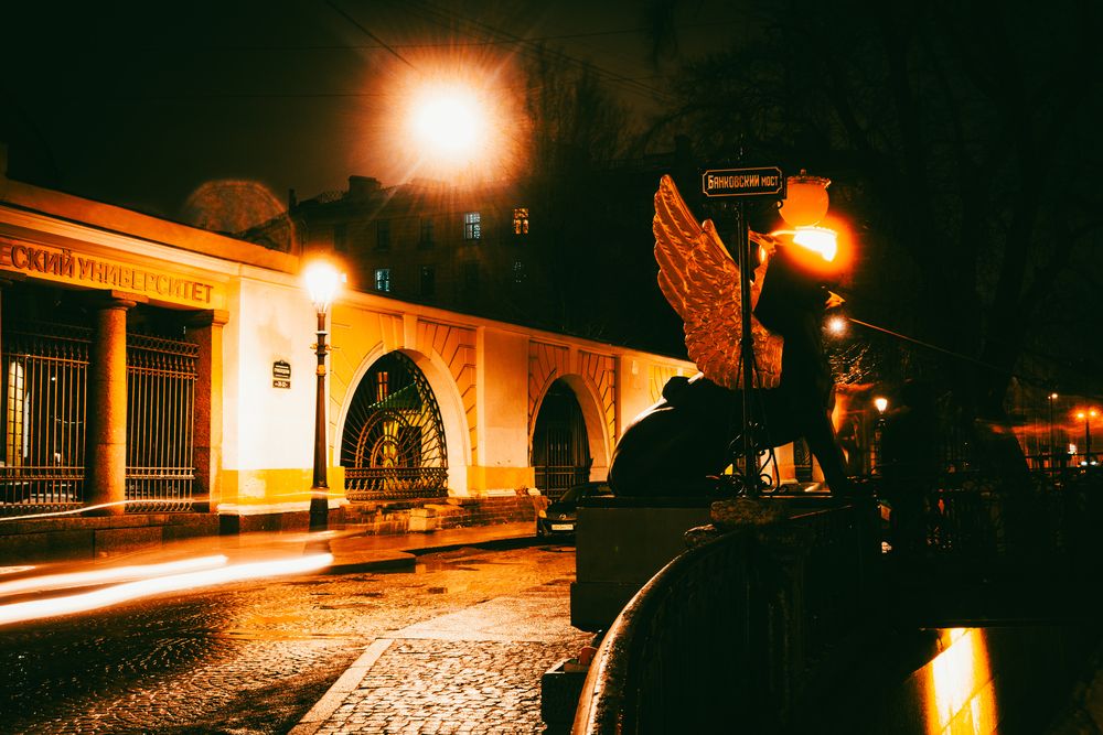 Photo 29956384