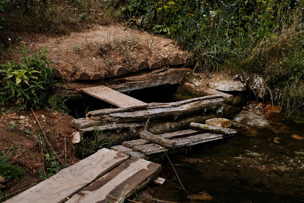 Photo 29956688