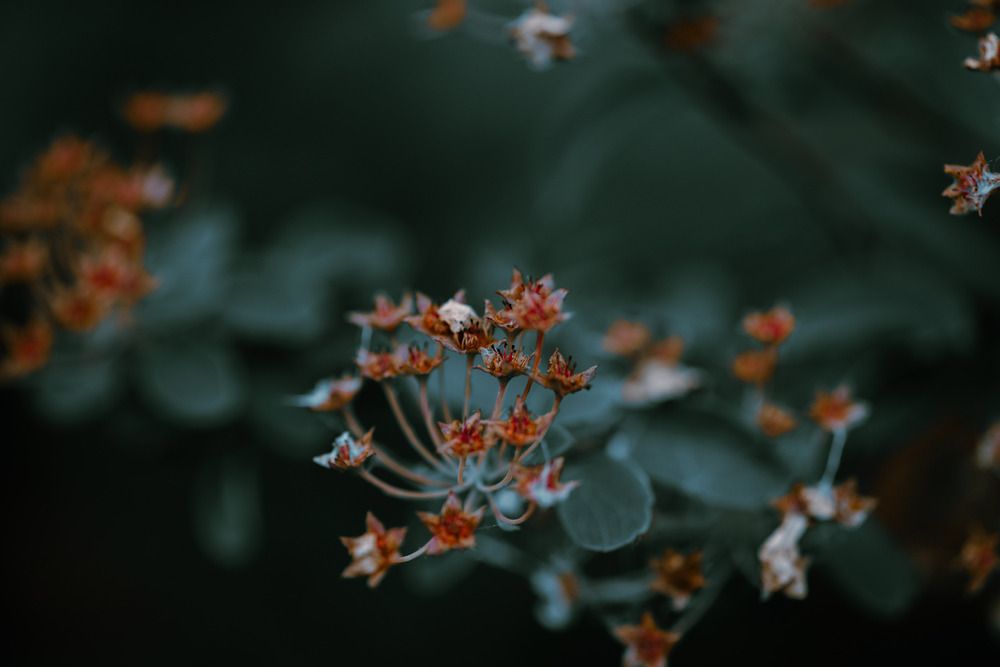 Photo 29956689