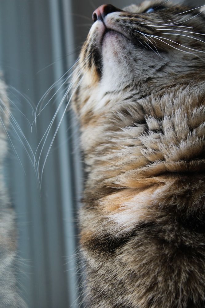 Photo 29957227