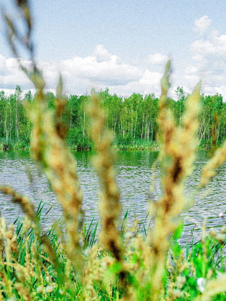 Мои фотографии...