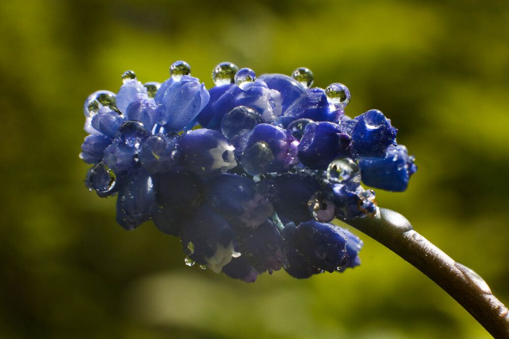 Photo 29957292