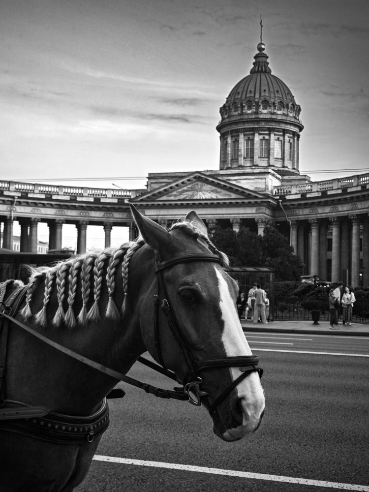 Мобильные зарисовки Санкт-Петербурга