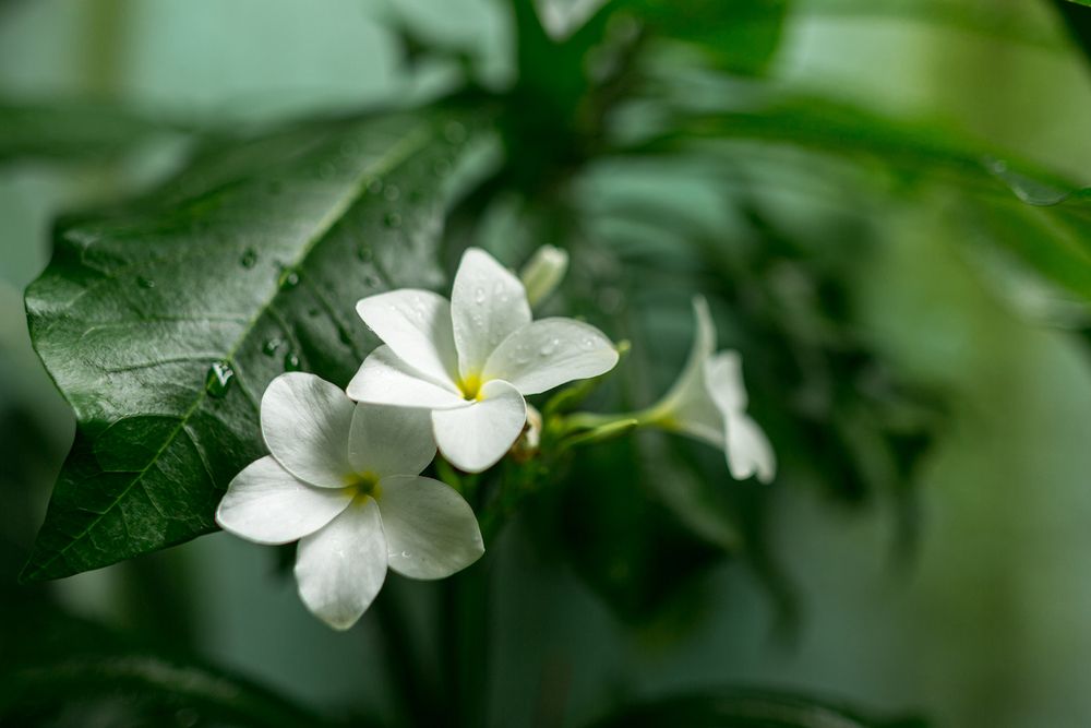 Meu maior prazer &eacute; fotografar de tudo.