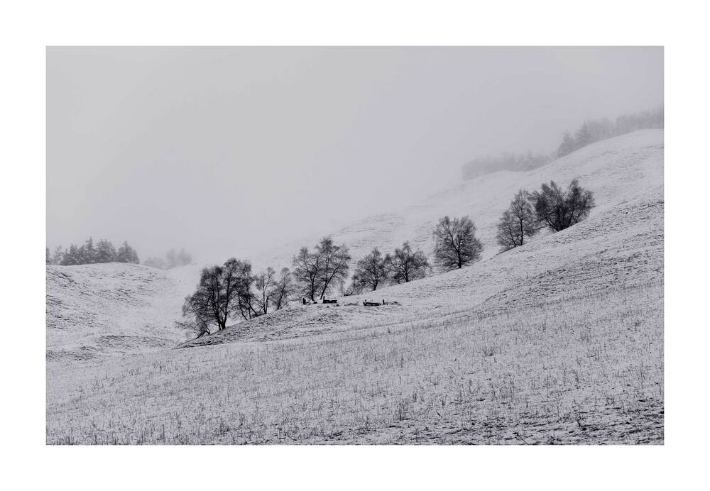 Photo 29958256