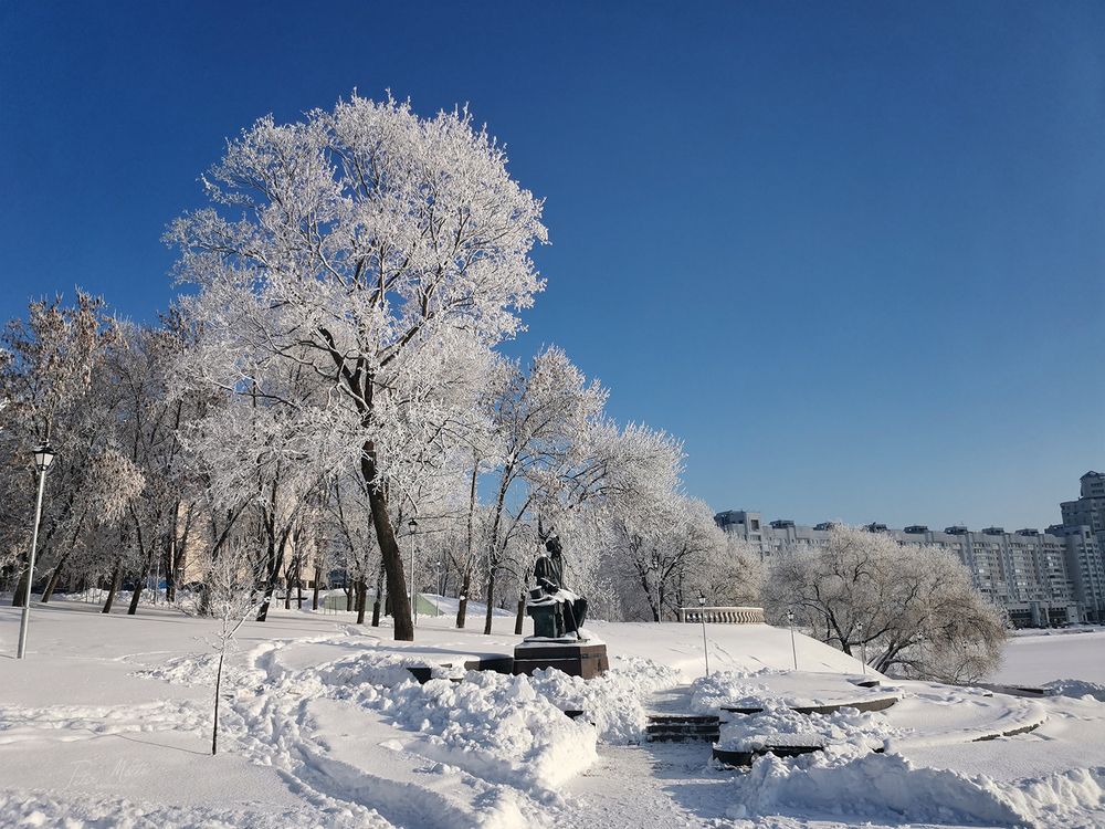 Белоснежные узоры