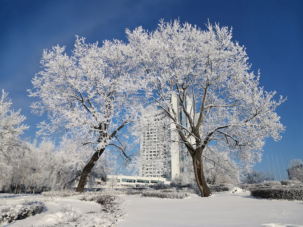 Белоснежные узоры