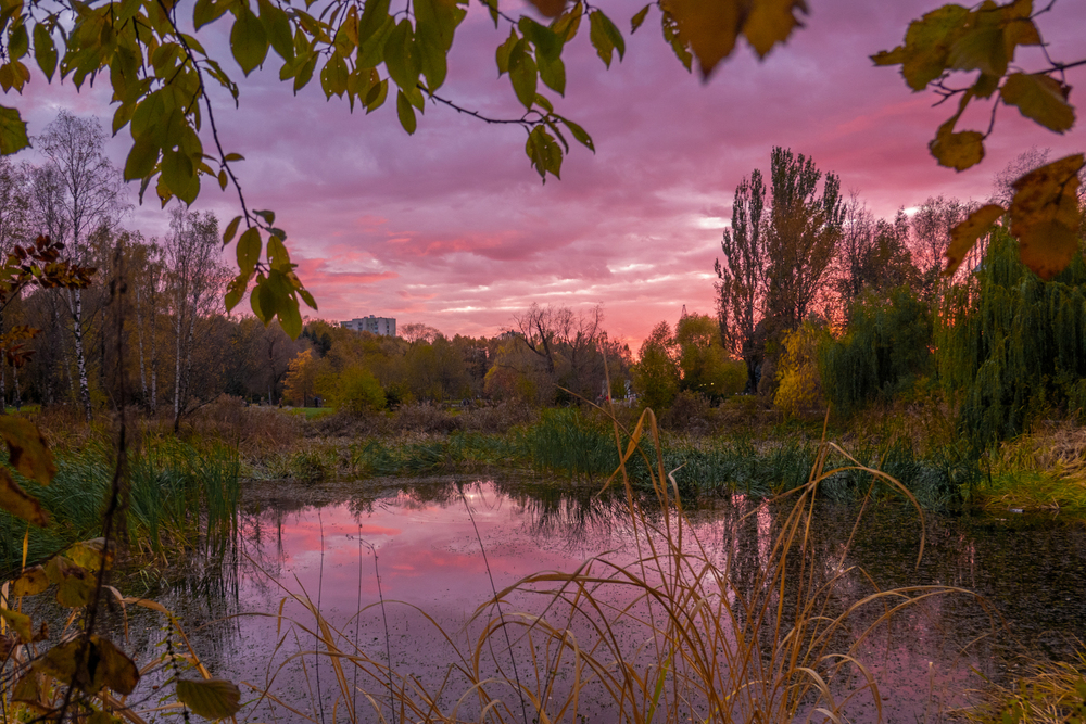 Photo 29958673