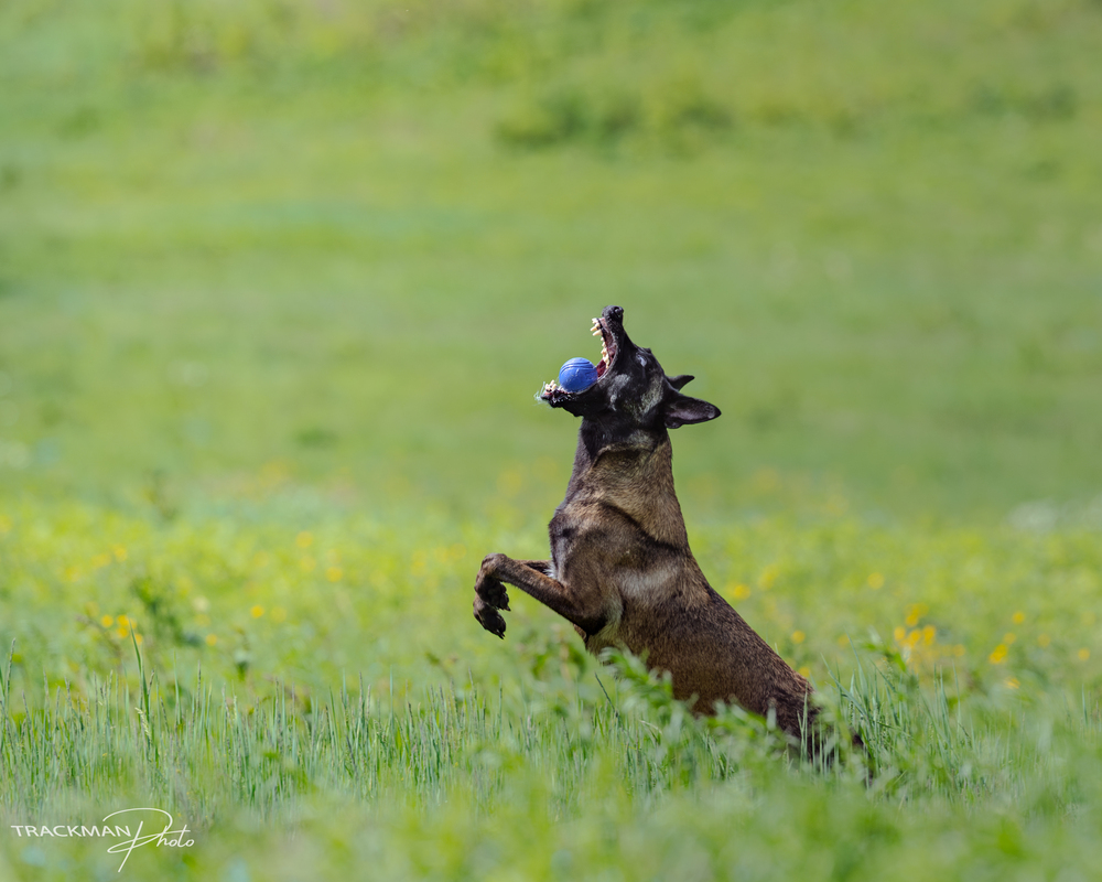 Photo 29958823