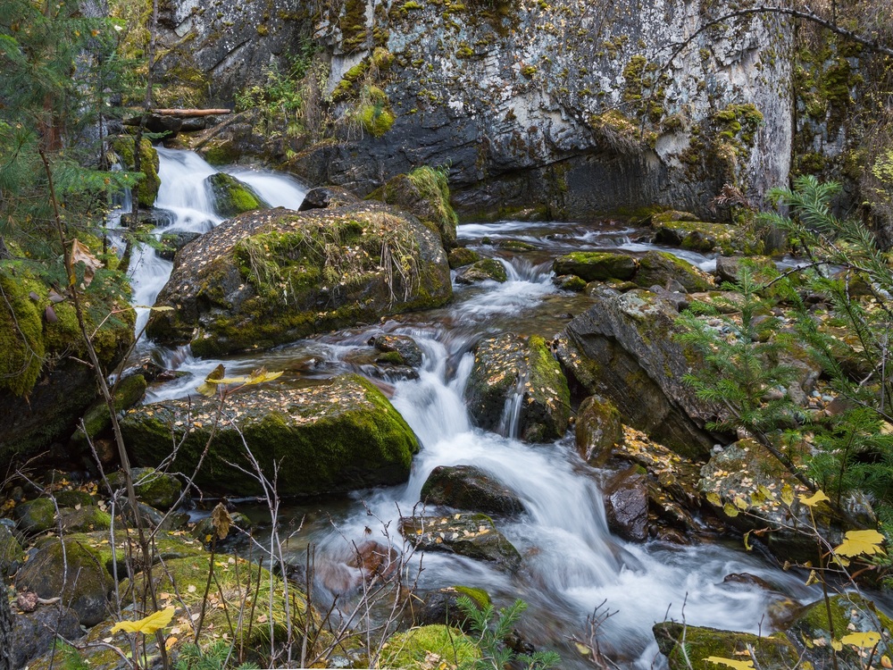 Photo 29958885