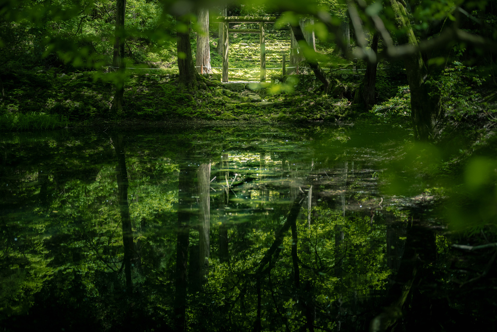 A sense of immersion in nature