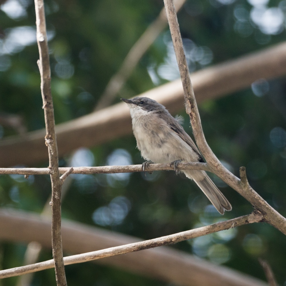 Photo 29959206