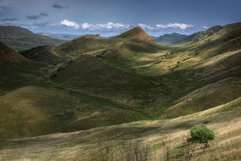 Photo 29959294