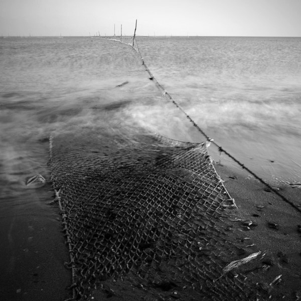 Photo 29959337