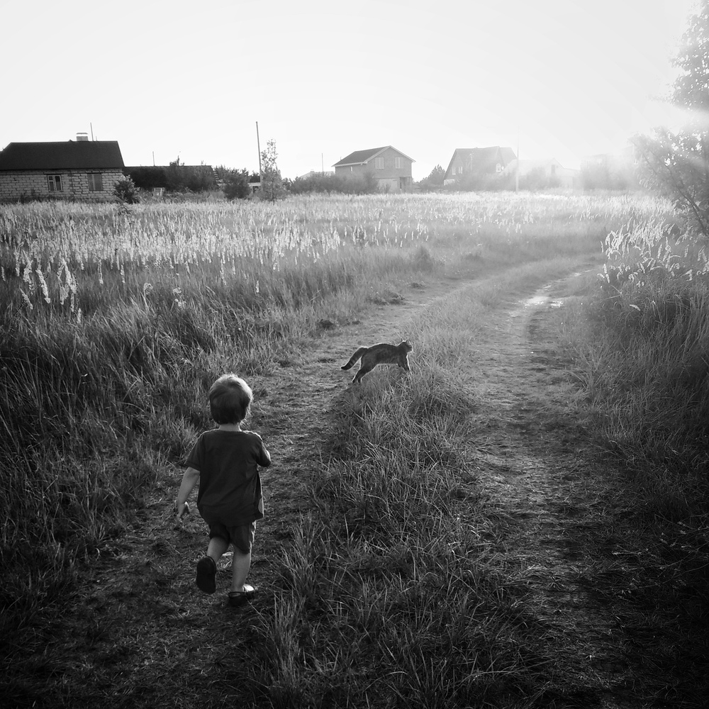 Photo 29959340