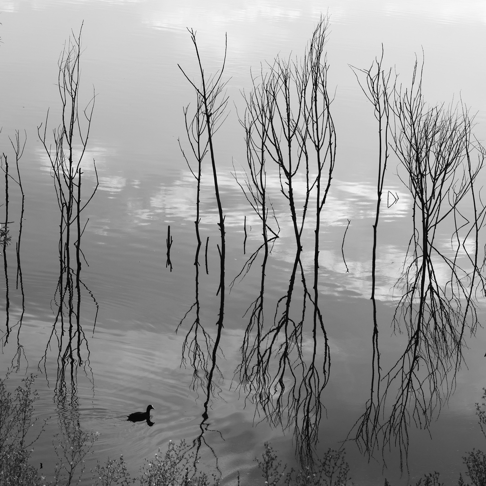 Photo 29959342