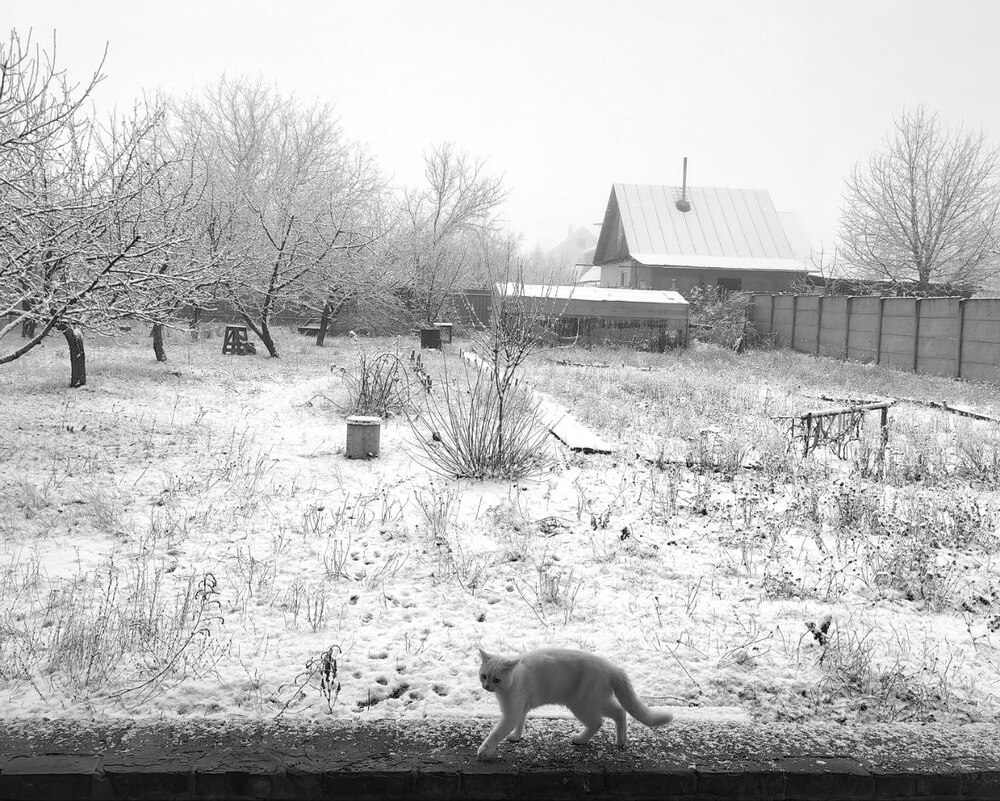Photo 29959343