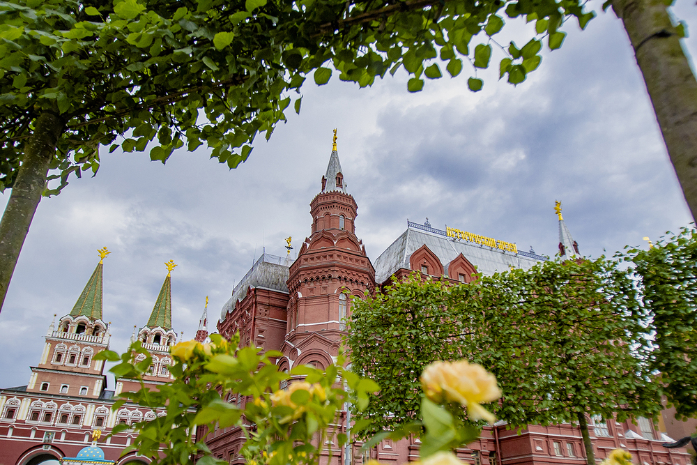 Розы и город