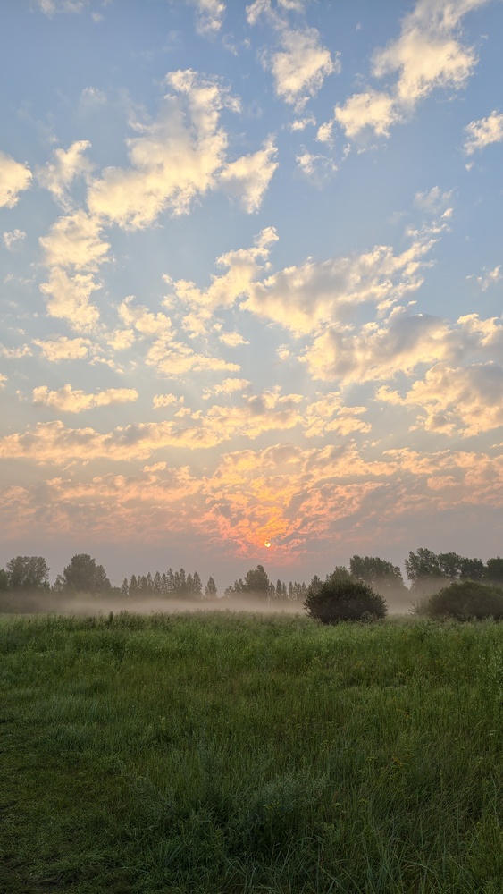 Photo 29959520
