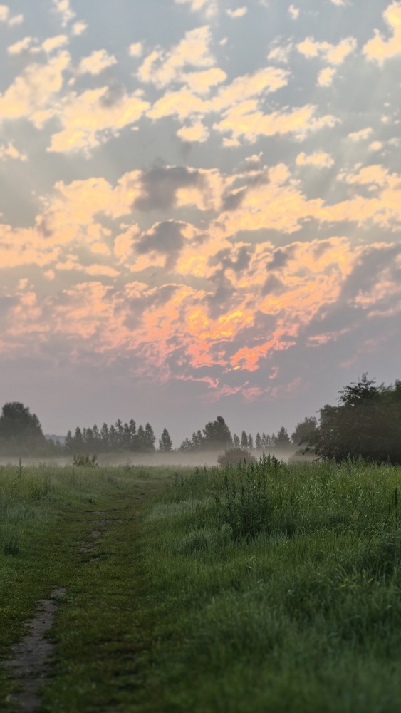Photo 29959521