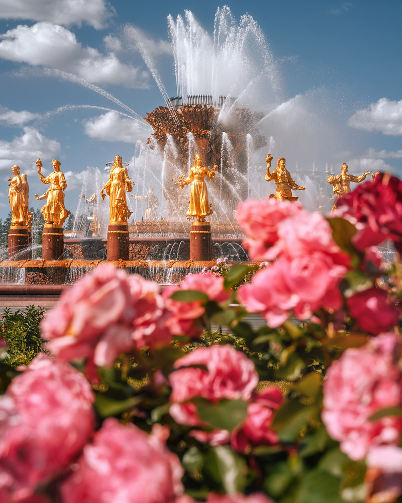 Розы на ВДНХ