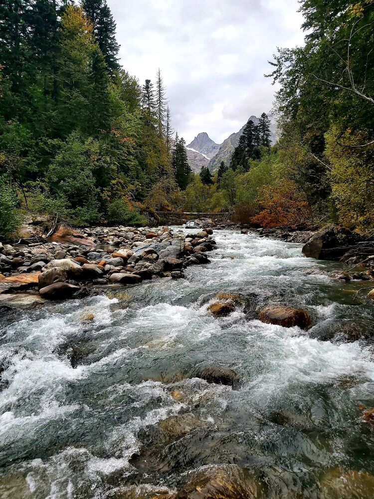 Photo 29959588