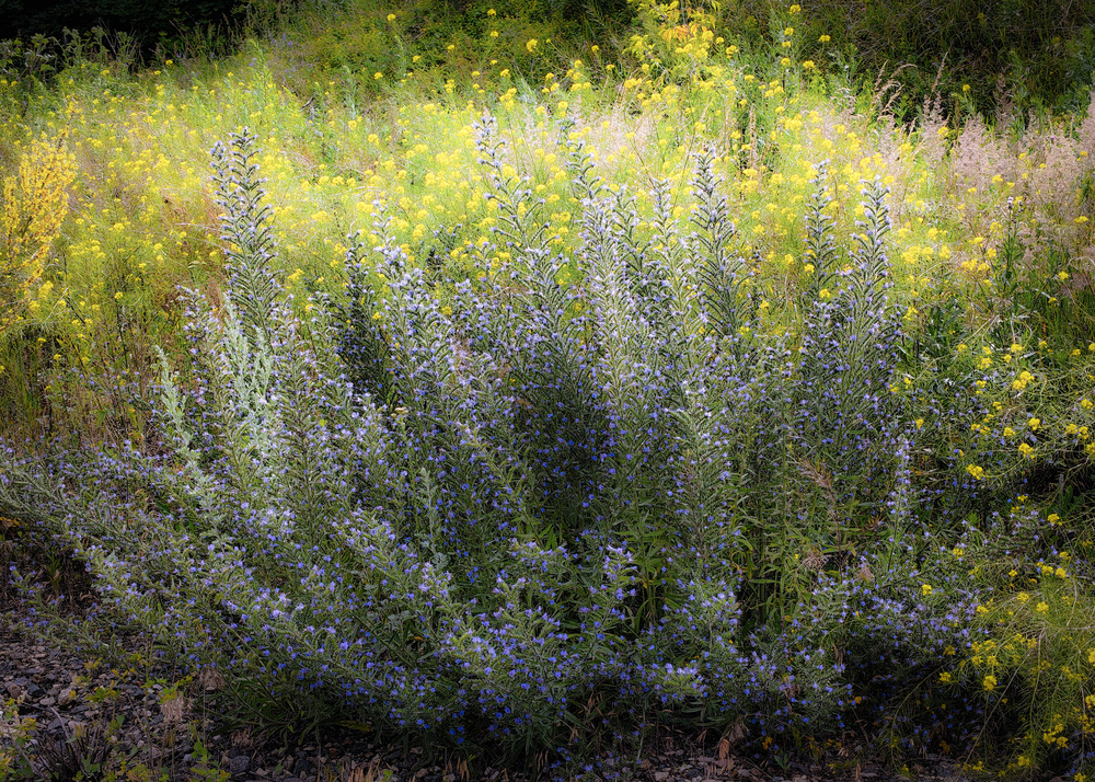 Photo 29959623