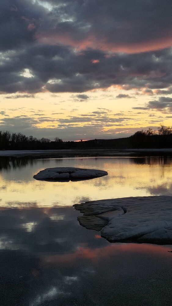 Photo 29959716