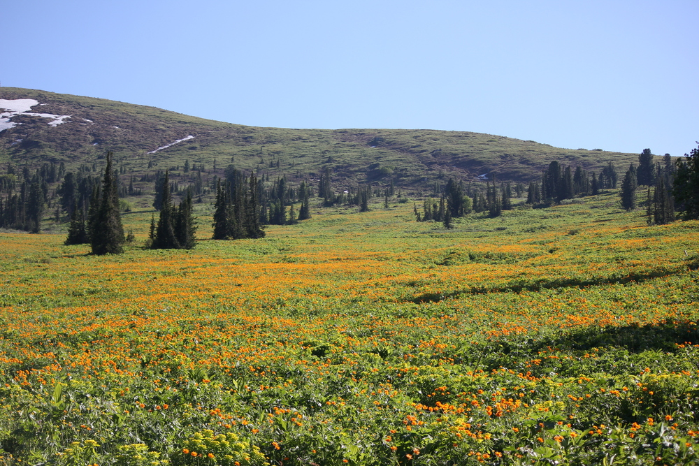 Photo 29959719