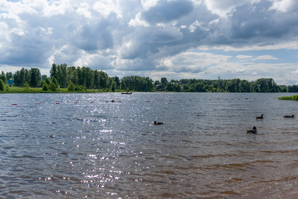 Photo 29959751